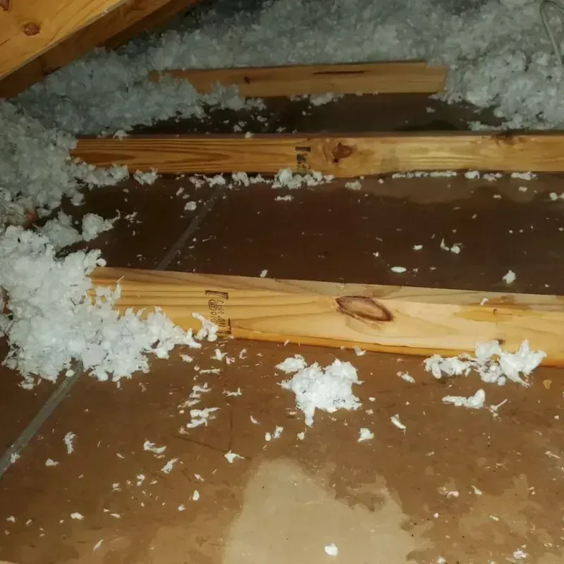 Attic Water Damage in Star, ID