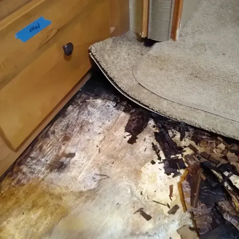 Wood Floor Water Damage in Star, ID